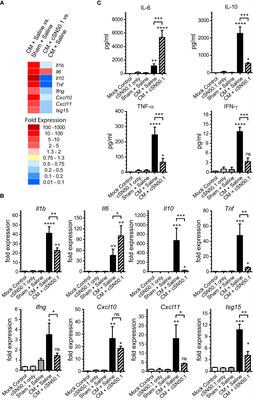Activation of thousands of genes in the lungs and kidneys by sepsis is countered by the selective nuclear blockade